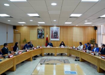 حموشي والسغروشني يعززان التعاون لتطوير الحكومة الرقمية وتوسيع استخدام الهوية الإلكترونية