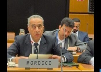 المدير العام للأمن الوطني يشارك في اجتماع أممي رفيع بفيينا