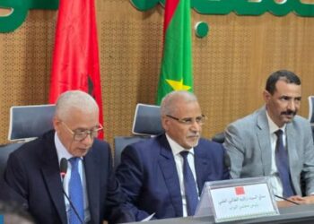 الطالبي العلمي : العمق الإفريقي المشترك مجال فريد للشراكة المغربية الموريتانية