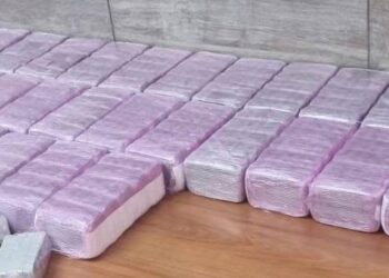 الدار البيضاء: إحباط محاولة تهريب 104,000 قرص ريفوتريل و3,790 قرص إكستازي