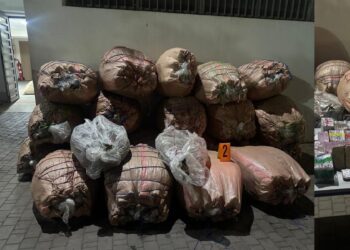 تفكيك شبكة لترويج المخدرات في عملية أمنية مشتركة بسطات وخريبكة وابن أحمد