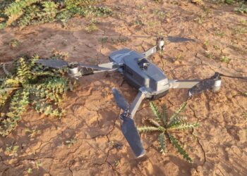 الدرك الملكي ببني درار يُفكك شبكة تهريب مخدرات عبر “درون” قرب الحدود الجزائرية