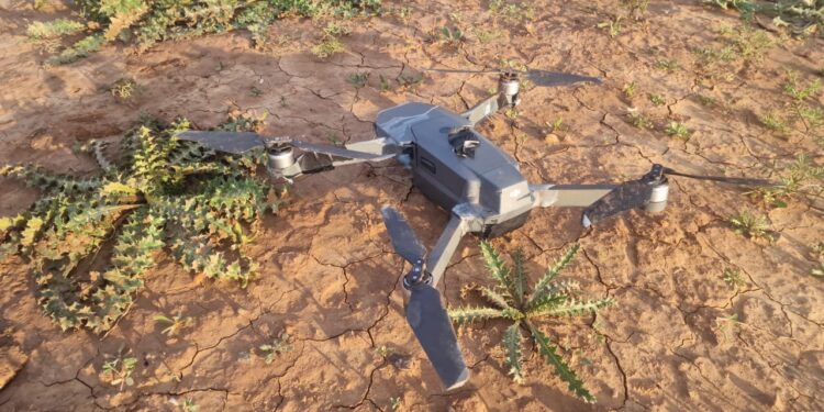 الدرك الملكي ببني درار يُفكك شبكة تهريب مخدرات عبر “درون” قرب الحدود الجزائرية