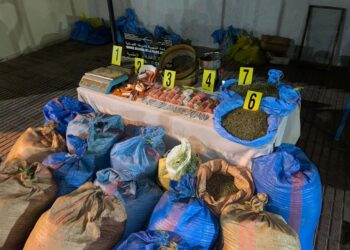 في كمين أمني محكم.. سقوط مروجي مخدرات بالناظور بحوزتهما أطنان من الكيف وسجائر مخدرة