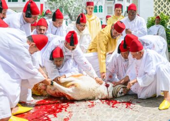أمير المؤمنين يؤدي صلاة عيد الأضحى المبارك بمسجد الحسن الثاني بتطوان ويتقبل التهاني بهذه المناسبة السعيدة