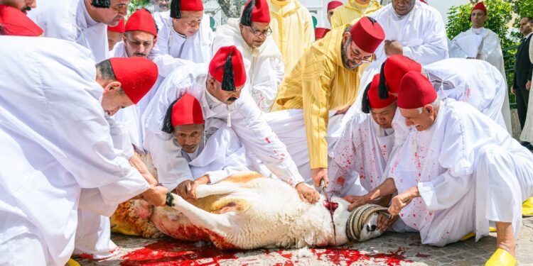 أمير المؤمنين يؤدي صلاة عيد الأضحى المبارك بمسجد الحسن الثاني بتطوان ويتقبل التهاني بهذه المناسبة السعيدة