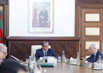 مجلس الحكومة يصادق على مشروع مرسوم يتعلق بمنح أجرة تكميلية للأساتذة الباحثين في الطب والصيدلة وطب الأسنان