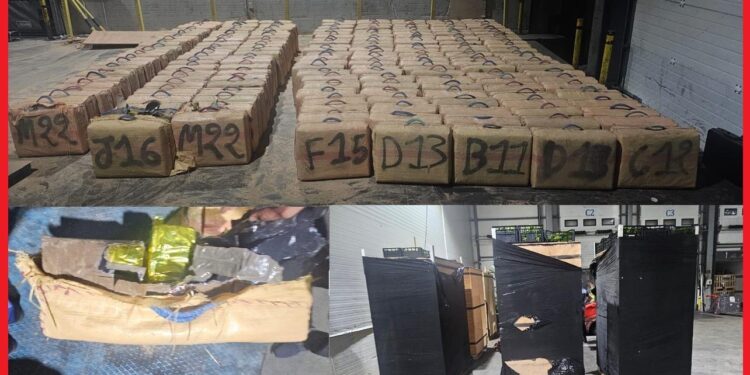 عملية مشتركة بين الشرطة والجمارك تُفشل تهريب الأطنان من مخدر الشيرا إلى أوروبا