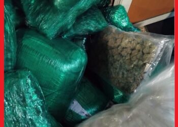 أمن مطار محمد الخامس يحبط تهريب 133 كلغ من الماريخوانا بحوزة كنديين