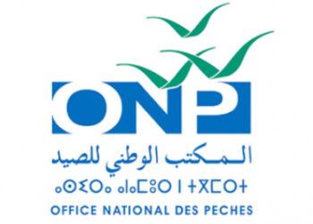 الصيد البحري.. قيمة المنتجات المسوقة بلغت أكثر من 4,81 مليار درهم حتى نهاية يونيو 2025 (المكتب الوطني للصيد)