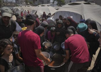 ارتفاع وفيات المجاعة في غزة إلى 113 شخصا