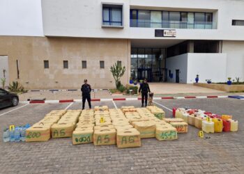 بتنسيق مع “الديستي”.. الأمن الوطني يُحبط تهريب أزيد من 3 أطنان من الشيرا بالصويرة