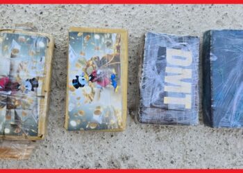 عملية أمنية مشتركة تُسفر عن ضبط شبكة لترويج الكوكايين وحجز بندقية صيد غير مرخصة