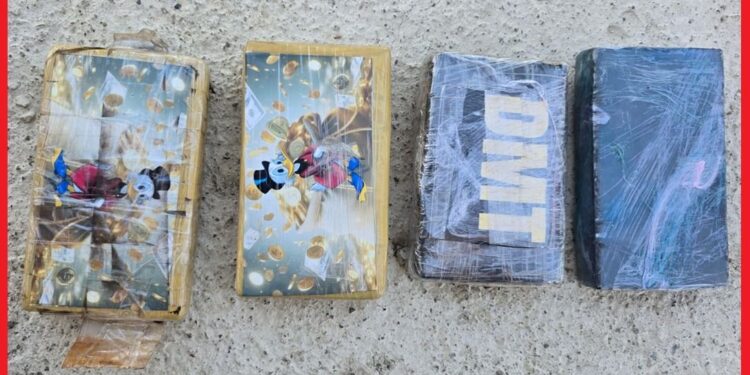 عملية أمنية مشتركة تُسفر عن ضبط شبكة لترويج الكوكايين وحجز بندقية صيد غير مرخصة