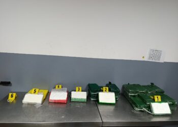 إحباط تهريب 52 كلغ من الكوكايين عبر ميناء طنجة المتوسط