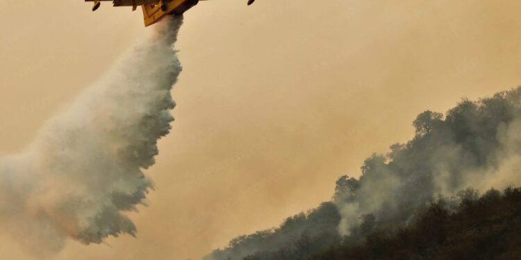حريق غابات شفشاون: السيطرة على 3 بؤر من أصل 4 والطائرات تواصل جهود الإخماد
