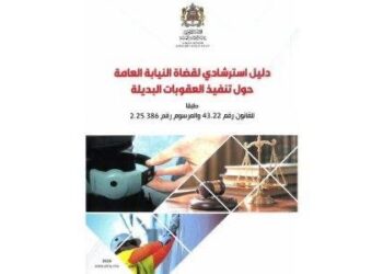 رئاسة النيابة العامة تصدر دليلا استرشاديا لقضاة النيابة العامة حول تنفيذ العقوبات