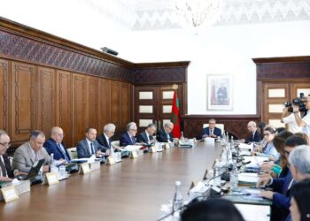 مجلس الحكومة يصادق على مشروع قانون متعلق بالتعليم العالي والبحث العلمي