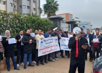 خبرة سنوات بلا اعتراف.. “محاسبون مهنيون” يناشدون لإنهاء “الإقصاء”