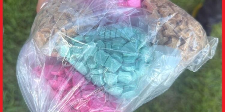 بتنسيق مع “الديستي” …شرطة طنجة تُجهض عملية لترويج “الإكستازي” والكوكايين