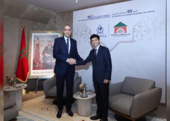 حموشي يتباحث مع فيصل شهكار لتقوية الشراكة بين المغرب والأمم المتحدة