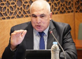 عمر أعنان: قرار مجلس الأمن تأكيد جديد على سيادة المغرب على صحرائه وتزكية لمبادرة الحكم الذاتي