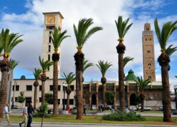  هل تنجح ثورة الإنارة العمومية الجديدة في إخراج أحياء مدينة وجدة  من الظلمة؟