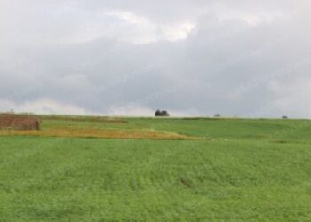 توقعات أحوال الطقس اليوم الجمعة