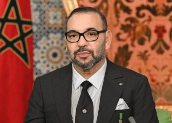 البروفيسور بليمني: الملك يمر بوعكة صحية في الظهر تتطلب الراحة ولا تدعو للقلق