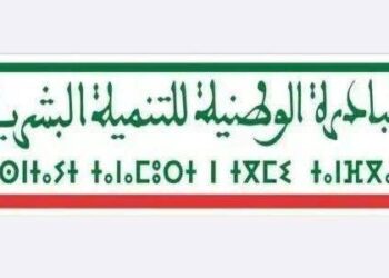 المبادرة الوطنية للتنمية البشرية .. تعبئة شاملة من أجل التخفيف من آثار موجة البرد