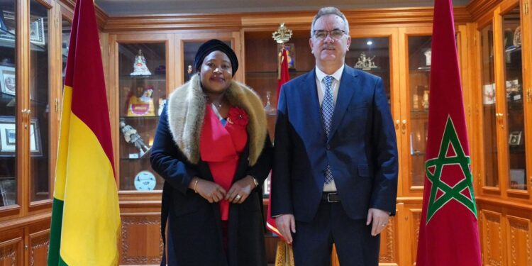 الحجيرة يبرز تجربة المغرب في الرقابة المالية أمام وفد برلماني غيني