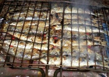 قرار حكومي جديد يتعلق بالسردين