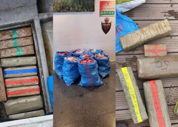 أمن طنجة يُحبط تهريب 503 كيلوغرامات من الشيرا بميناء مارينا