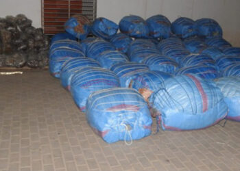 سيارات إسعاف ولوحات مزورة.. خطط “بارونات” المخدرات التي أحبطها التنسيق الأمني بـ 4 جهات