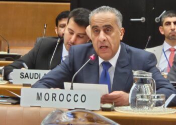 تعاون أمني واستخباراتي مكثف بين الرباط وفيينا لمواجهة التهديدات المشتركة