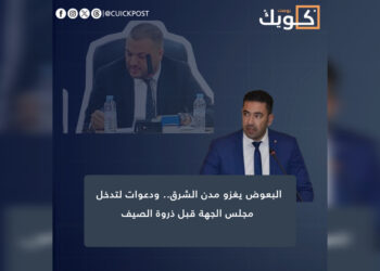 البعوض يغزو مدن الشرق.. ودعوات لتدخل مجلس الجهة قبل ذروة الصيف