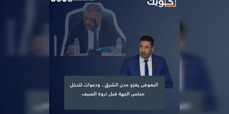 البعوض يغزو مدن الشرق.. ودعوات لتدخل مجلس الجهة قبل ذروة الصيف