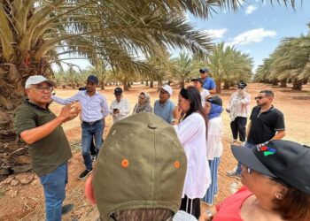 وفد من مجلس جهة الدار البيضاء–سطات يطلع على مشاريع مائية وفلاحية بإقليم الرشيدية