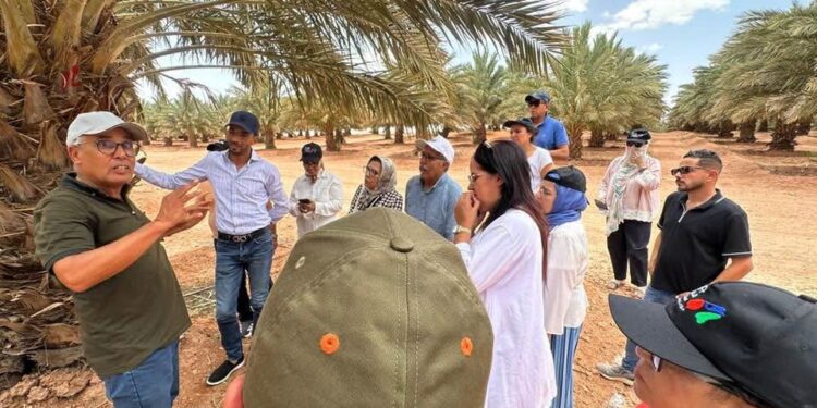 وفد من مجلس جهة الدار البيضاء–سطات يطلع على مشاريع مائية وفلاحية بإقليم الرشيدية