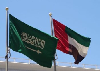 السعودية والإمارات.. الكهرباء والسكك الحديدية على خط التكامل الاقتصادي